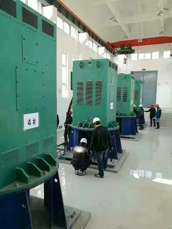 Y5604-6某污水处理厂使用我厂的立式高压电机安装现场