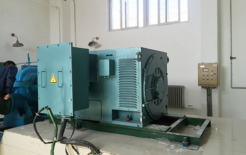Y5604-6某水电站工程主水泵使用我公司高压电机一年质保